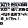 新奥门免费资料挂牌大全凯旋门图片,解析关键问题的重要性与实施策略_MT款v.5.735