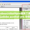 adobeacrobat9pro增效工具安装(adobe acrobat pro 中的增效工具怎么安装)