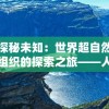 探秘未知：世界超自然组织的探索之旅——人类、天然奇观及超自然现象的交汇点