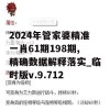 2024年管家婆精准一肖61期198期,精确数据解释落实_临时版v.9.712