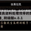 新奥门正版免费资料,提高资料处理效率的策略_初级版v.8.126