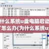 为什么系统u盘电脑启动不了怎么办(为什么系统u盘进不去)