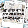 澳门资料网站7456,权威分析解释落实_小巧版v.5.599