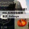 澳门精准资料管家婆7456,实践经验解释落实_Galaxyv.8.232