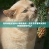 探寻喵星联盟APP真名盘点：这款喜欢猫咪玩家的利器到底叫什么?