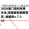 2024澳门资料免费大全,深度解答解释落实_精细款v.7.315