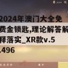 2024年澳门大全免费金锁匙,理论解答解释落实_XR款v.5.496