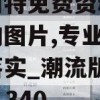 新奥门特免费资料大全今天的图片,专业研究解释落实_潮流版Timiv.2.340