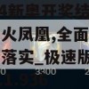 2024新奥开奖结果查询火凤凰,全面分析解释落实_极速版Timiv.1.936