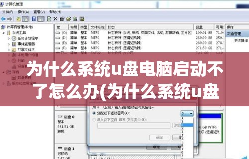为什么系统u盘电脑启动不了怎么办(为什么系统u盘进不去)