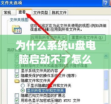 为什么系统u盘电脑启动不了怎么办(为什么系统u盘进不去)