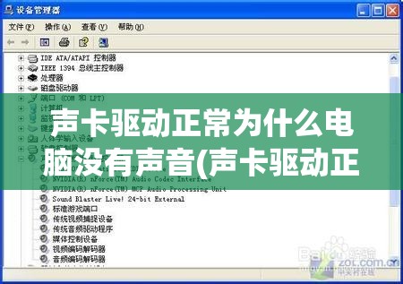 声卡驱动正常为什么电脑没有声音(声卡驱动正常为什么电脑没有声音了)