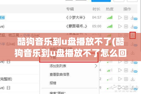 酷狗音乐到u盘播放不了(酷狗音乐到u盘播放不了怎么回事)