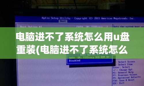 电脑进不了系统怎么用u盘重装(电脑进不了系统怎么用u盘重装系统教程)