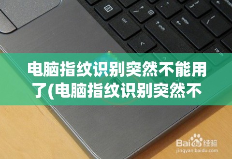 电脑指纹识别突然不能用了(电脑指纹识别突然不能用了怎么办?)