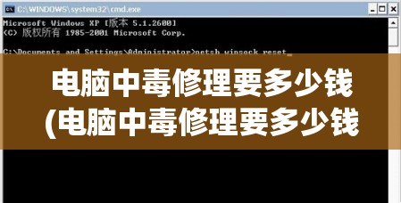 电脑中毒修理要多少钱(电脑中毒修理要多少钱一次)