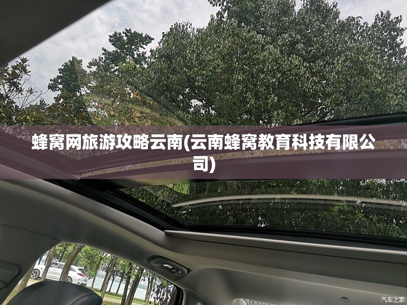 蜂窝网旅游攻略云南(云南蜂窝教育科技有限公司)