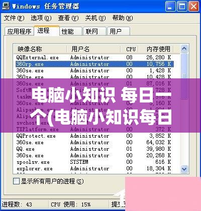 电脑小知识 每日一个(电脑小知识每日一个)