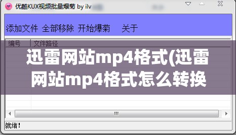 迅雷网站mp4格式(迅雷网站mp4格式怎么转换)