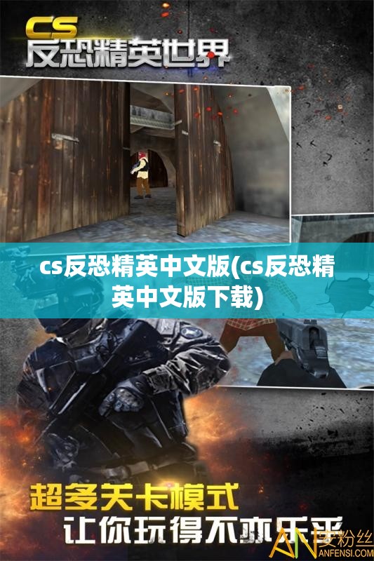 cs反恐精英中文版(cs反恐精英中文版下载)