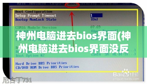 神州电脑进去bios界面(神州电脑进去bios界面没反应)