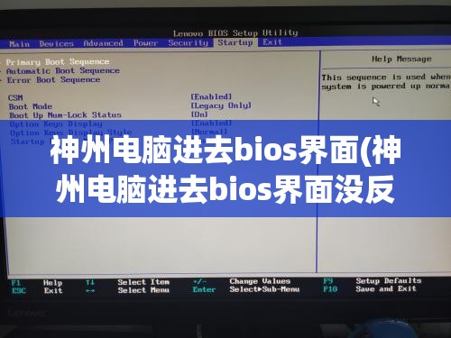神州电脑进去bios界面(神州电脑进去bios界面没反应)