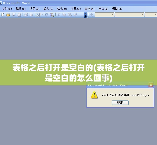 表格之后打开是空白的(表格之后打开是空白的怎么回事)