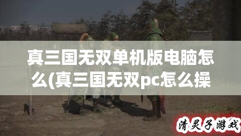 真三国无双单机版电脑怎么(真三国无双pc怎么操作)