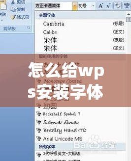 怎么给wps安装字体(怎么给wps安装字体包)