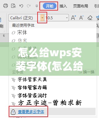 怎么给wps安装字体(怎么给wps安装字体包)