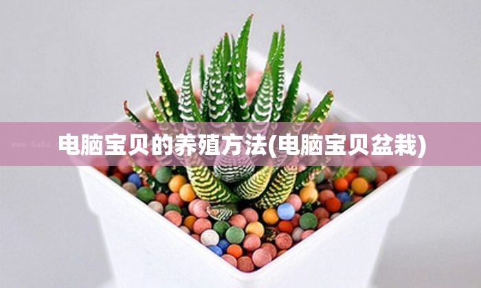 探究网游更新：《弹弹堂》的幻境模式是否会再次回归，玩家期待值将如何影响其命运