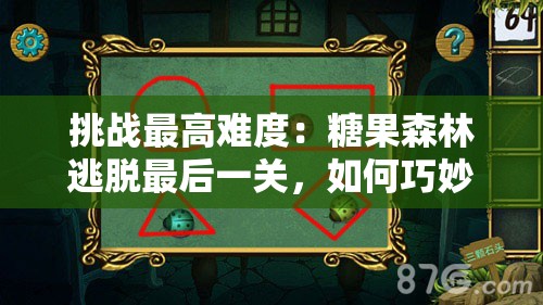 挑战最高难度：糖果森林逃脱最后一关，如何巧妙运用技巧获得胜利？