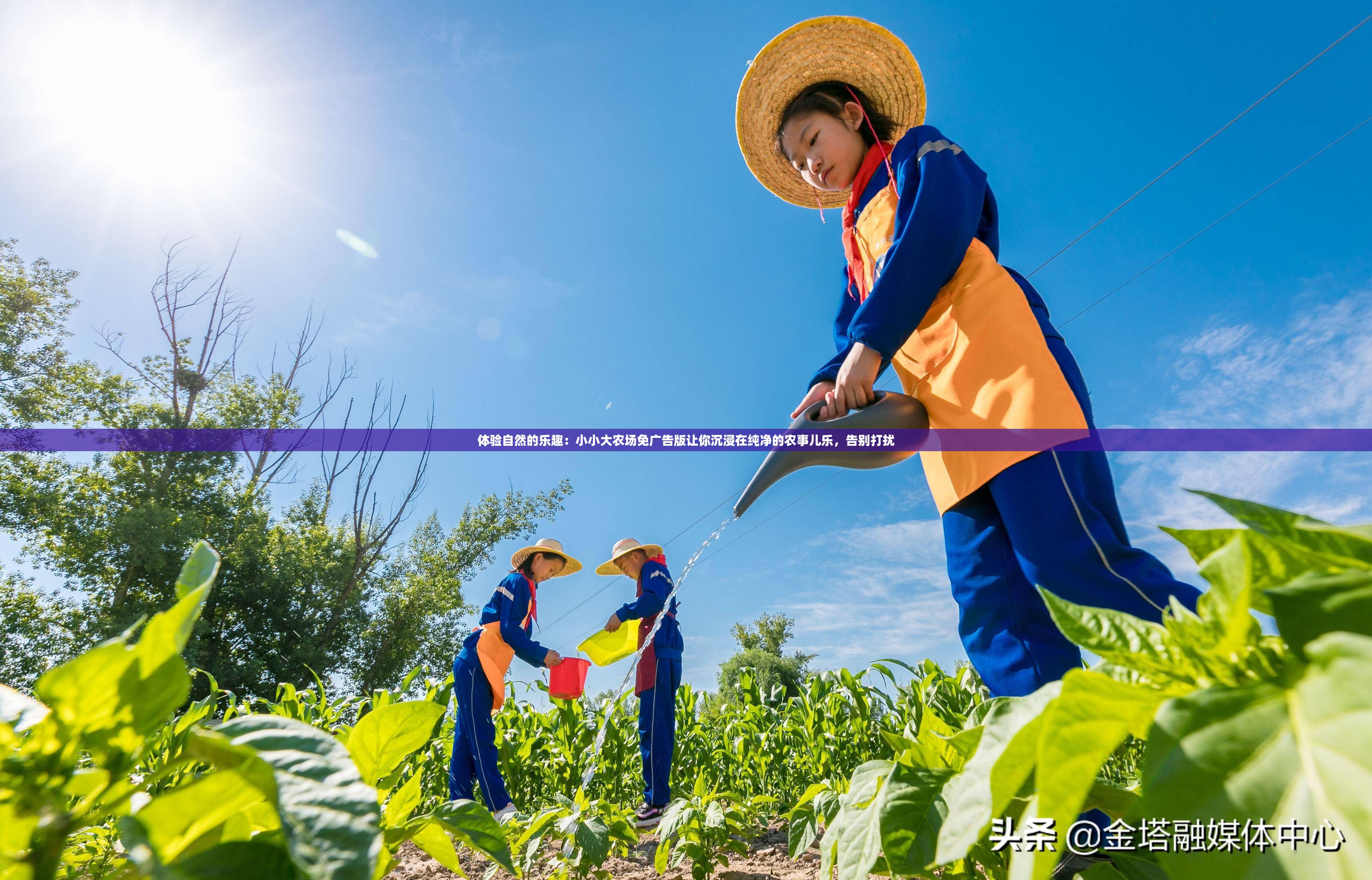 详解天涯明月刀手游中各职业实力排名，剖析哪个职业最厉害并提供选择建议