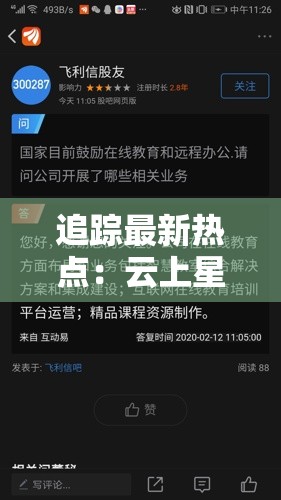 深度揭秘：新手必看的武道对决游戏攻略，如何高效提升战斗力与技能熟练度