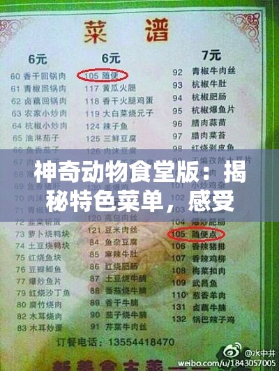 掌握游戏秘诀：详尽全面奇迹仙侠微信版攻略，帮助玩家快速提升战斗力和角色等级