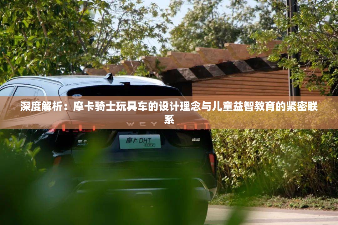 重生凤凰：我是幸存者非受害者——生活逆境中的自我救赎与坚韧精神揭秘