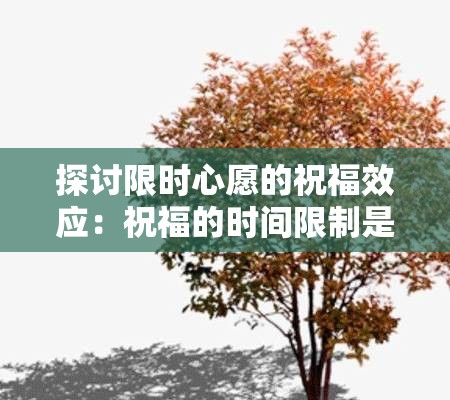 探索武林英雄传中平民门派选择的策略：关键因素分析与综合实战指南