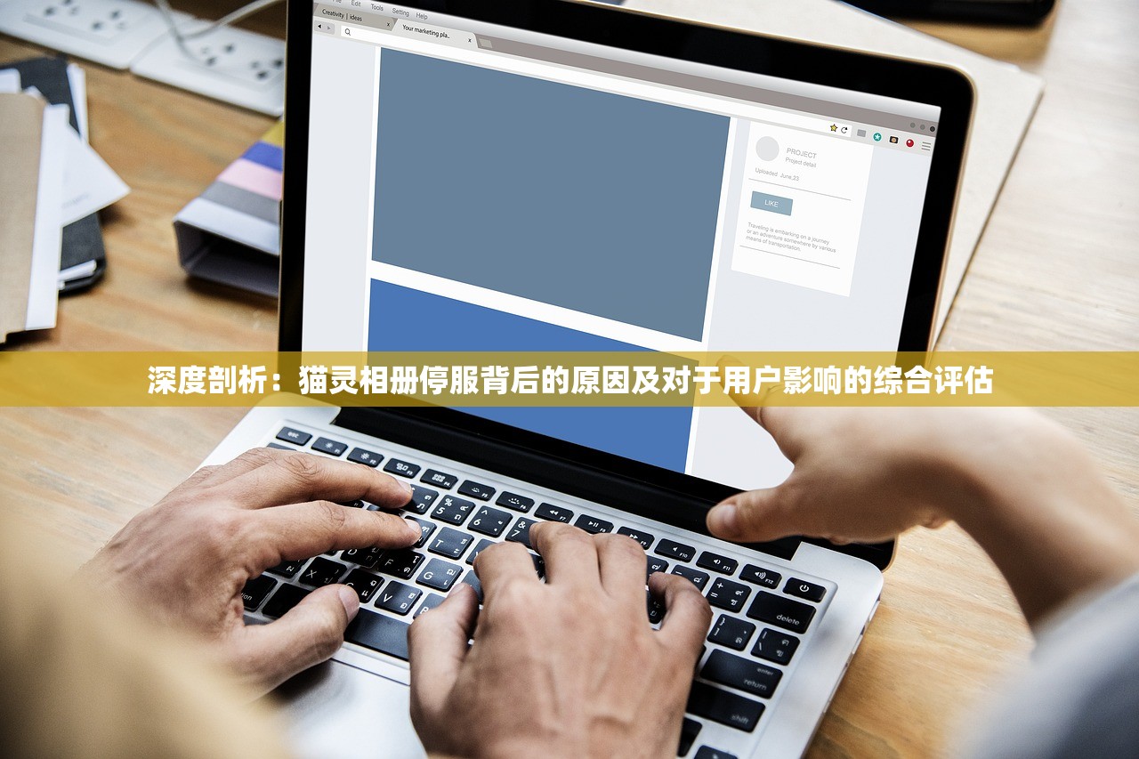 深度剖析：猫灵相册停服背后的原因及对于用户影响的综合评估