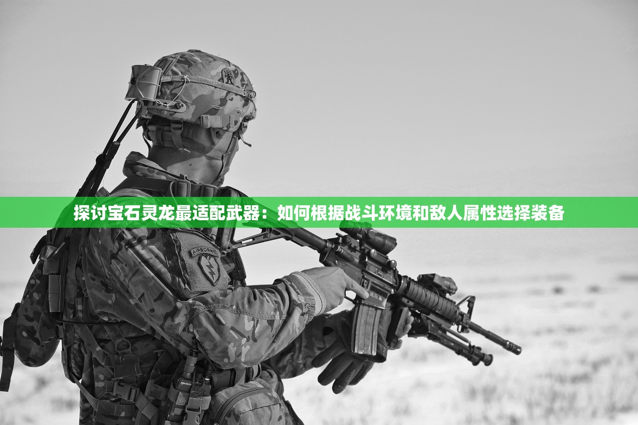 探讨宝石灵龙最适配武器：如何根据战斗环境和敌人属性选择装备