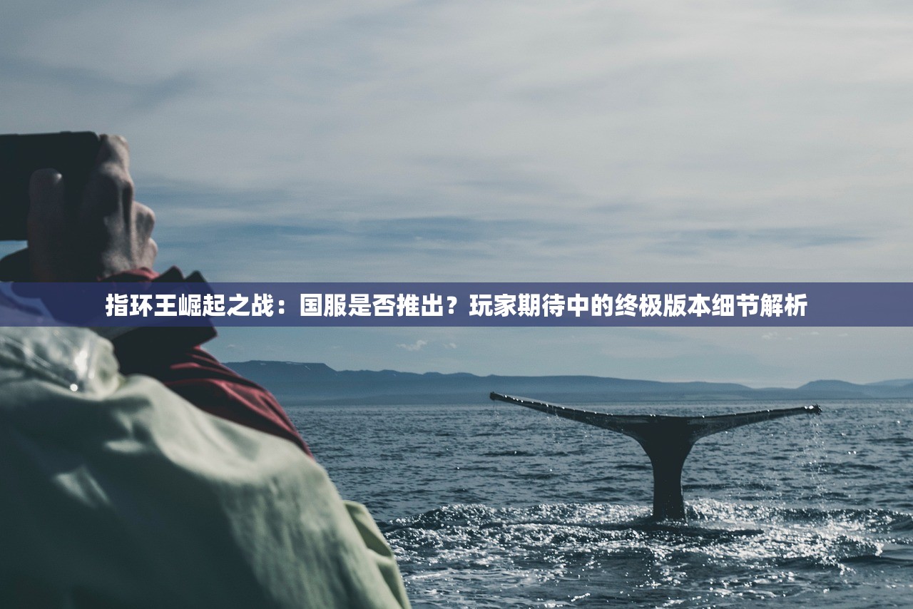 指环王崛起之战：国服是否推出？玩家期待中的终极版本细节解析