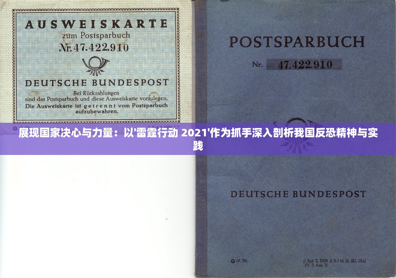 展现国家决心与力量：以'雷霆行动 2021'作为抓手深入剖析我国反恐精神与实践