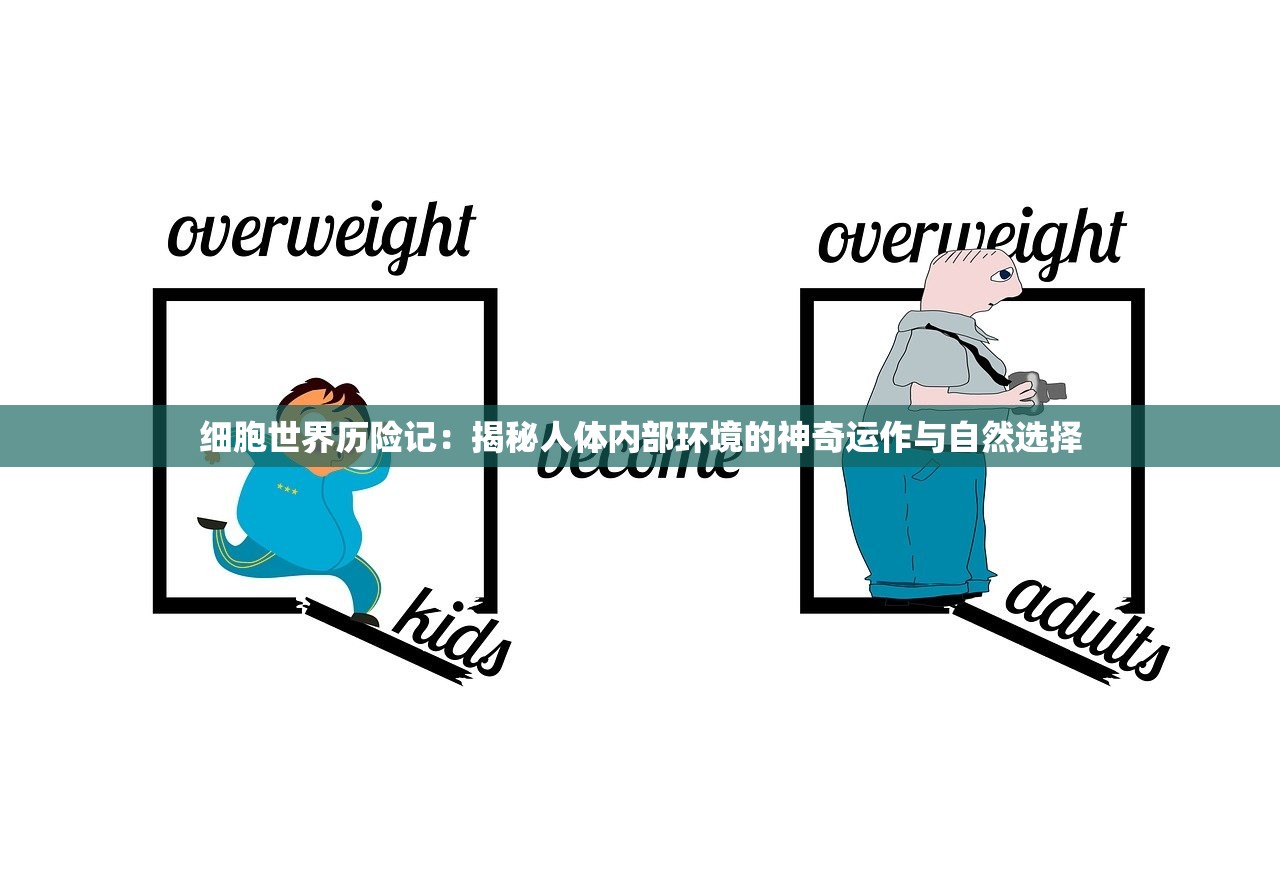 细胞世界历险记：揭秘人体内部环境的神奇运作与自然选择