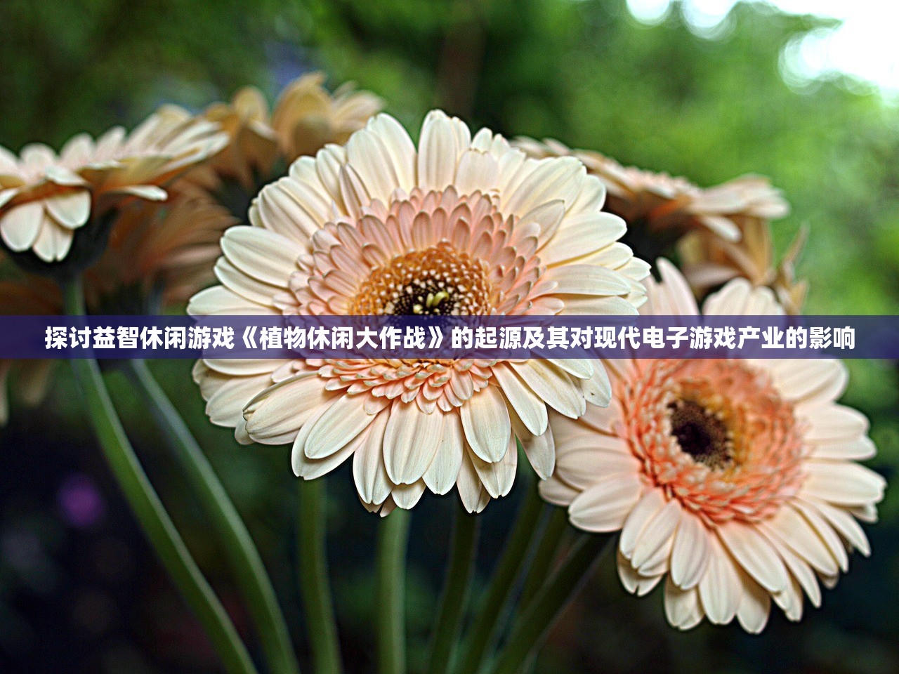 探讨益智休闲游戏《植物休闲大作战》的起源及其对现代电子游戏产业的影响