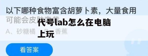 代号lab怎么在电脑上玩(代号lab怎么在电脑上玩的)