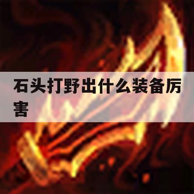 石头打野出什么装备厉害(石头打野出什么装备厉害一点)