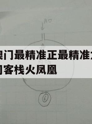 澳门最精准正最精准龙门客栈火凤凰,解析时代背景下的资料解读_专业版8.625