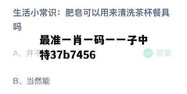 最准一肖一码一一子中特37b7456,保障成语理解的准确性_V0.476