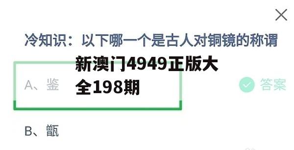 新澳门4949正版大全198期,权威分析解释落实_极限版7.285