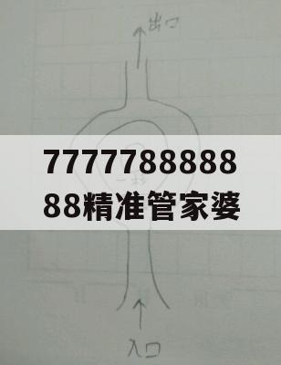 777778888888精准管家婆,解析关键问题的重要性与实施策略_iShop9.254