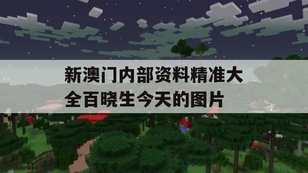 新澳门内部资料精准大全百晓生今天的图片,专家解答解释落实_影像版6.516